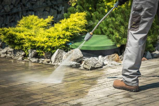 Best Sidewalk and Walkway Cleaning  in Plymouth, MN
