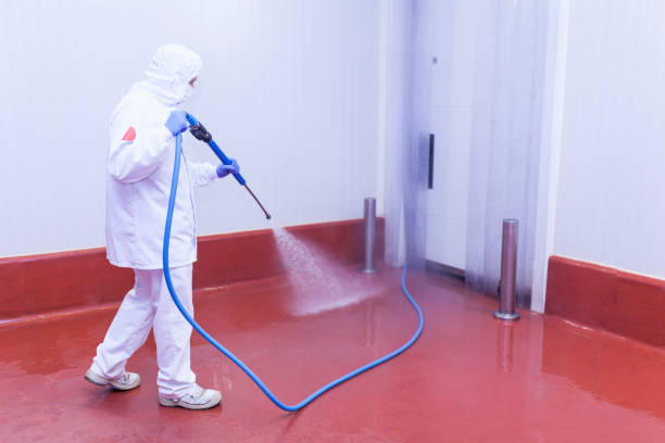 Best Patio and Deck Pressure Washing  in Plymouth, MN